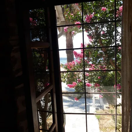 Διαμέρισμα Aspasia